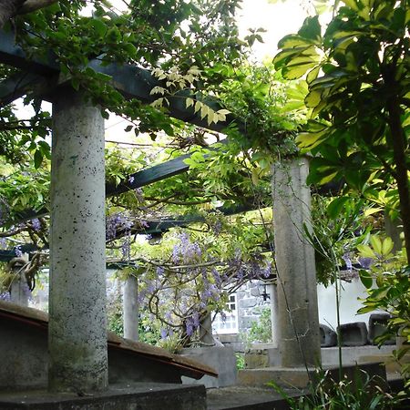 Quinta Das Buganvilias Castelo Branco  Dış mekan fotoğraf