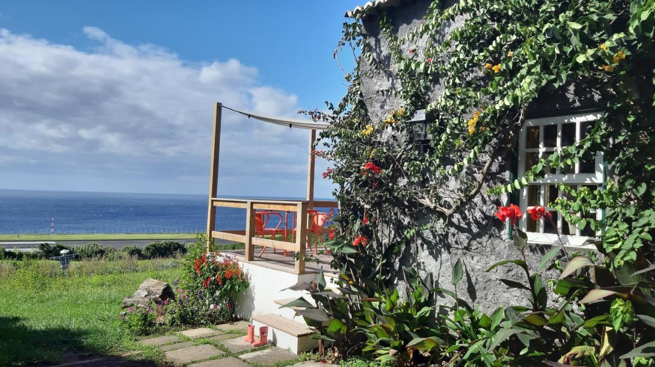 Quinta Das Buganvilias Castelo Branco  Dış mekan fotoğraf