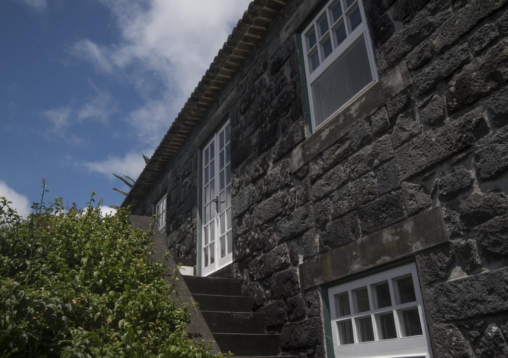Quinta Das Buganvilias Castelo Branco  Dış mekan fotoğraf