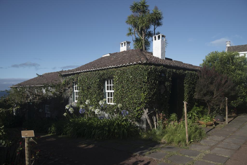 Quinta Das Buganvilias Castelo Branco  Dış mekan fotoğraf
