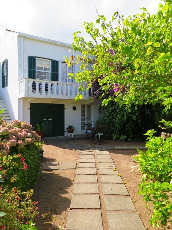 Quinta Das Buganvilias Castelo Branco  Dış mekan fotoğraf